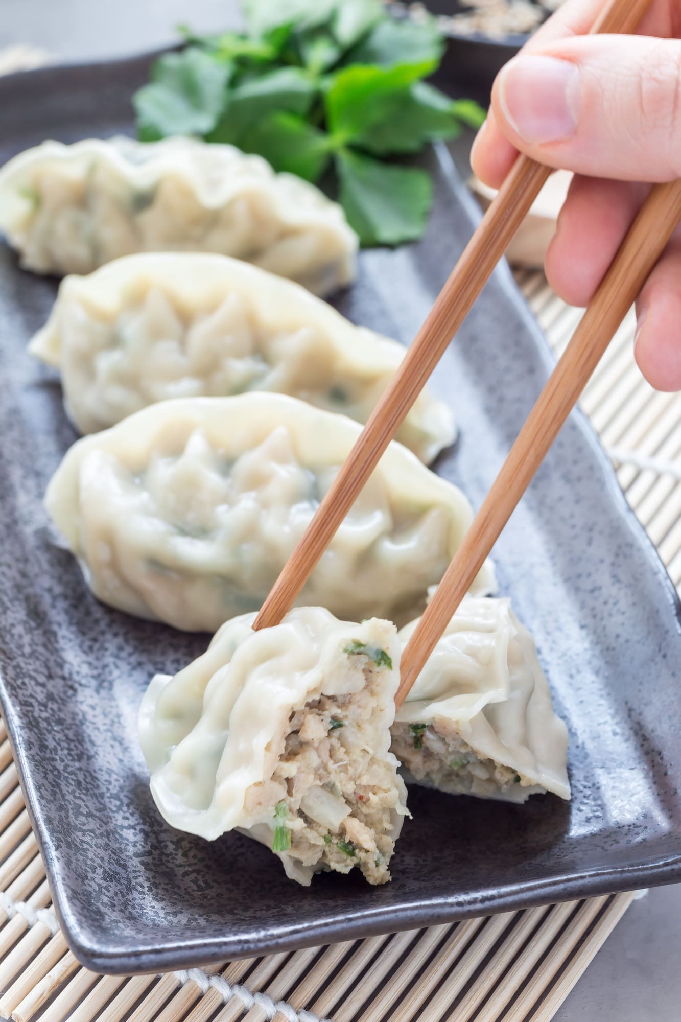 Steamed Korean dumplings Mandu with chicken meat and vegetables